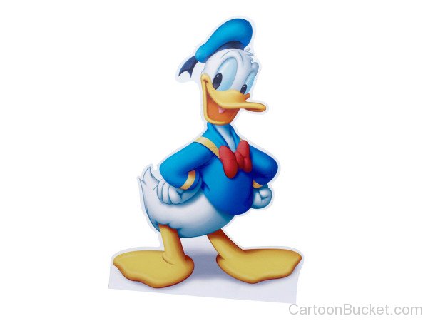 Beautiful Image Of Donald Duck