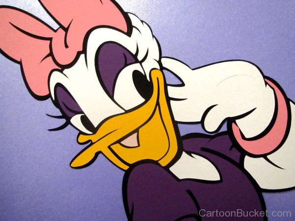 Closeup Image Of Daisy Duck