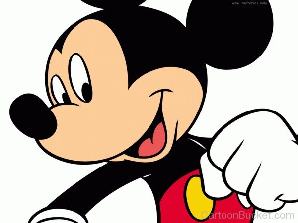 Closeup Image Of Micky Mouse