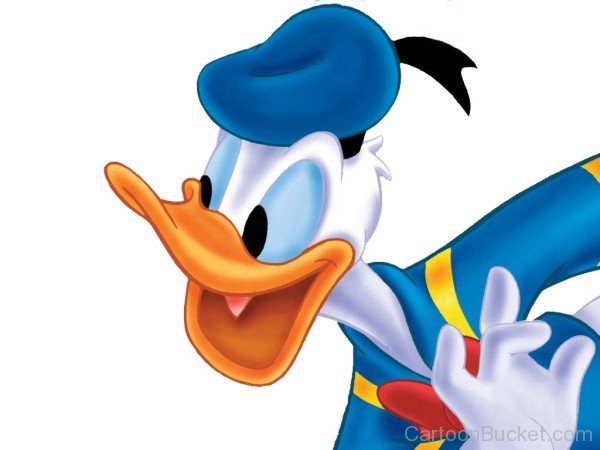 Closeup Of Donald Duck