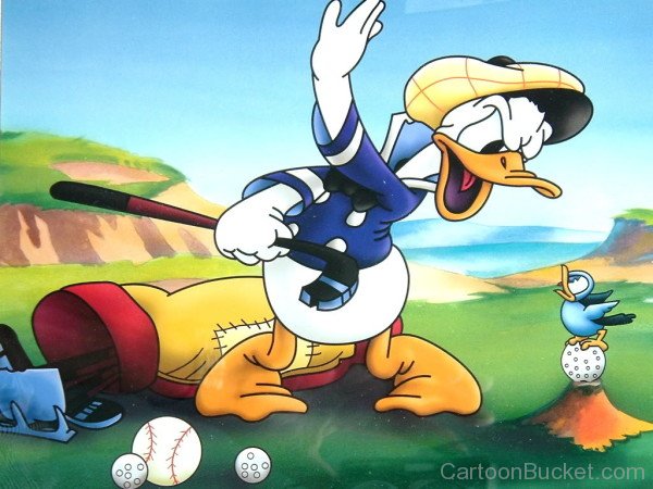 Donald Duck  With Hockey Stick