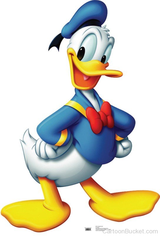 Donald Duck With Open Mouth