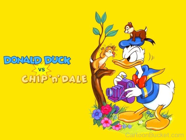 Donald Duck With Square