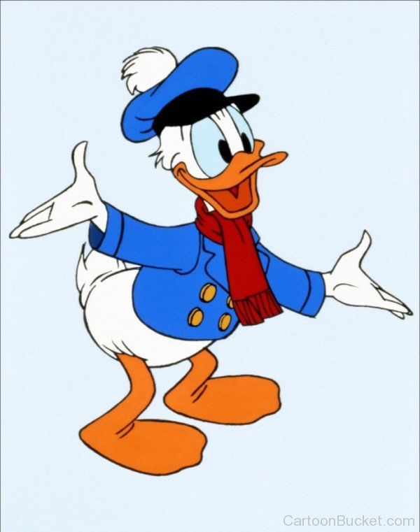 Image Of Donald Duck Wearing Muffler