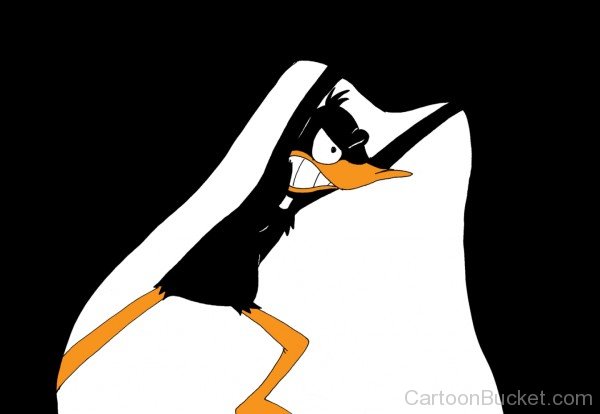 Amazing Daffy Duck Picture