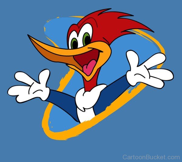 Amazing Picture Of Woody Woodpecker