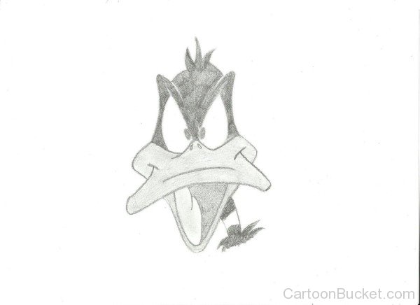 Angry Daffy Duck Sketch