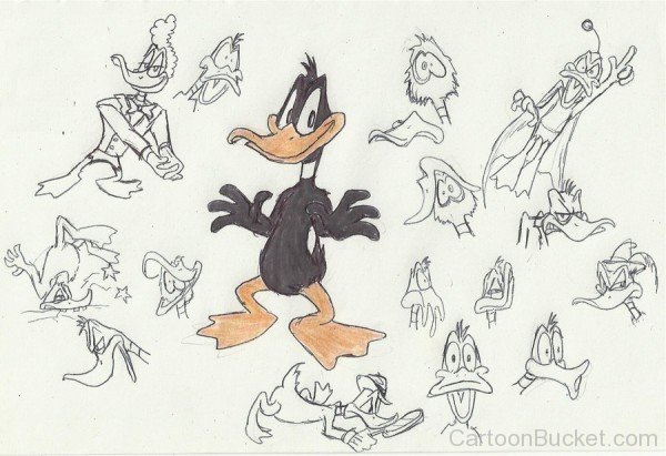 Beautiful Daffy Duck Sketch