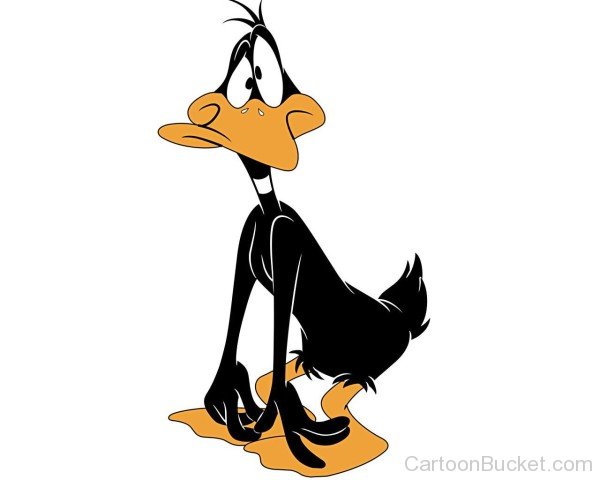 Daffy Duck Confused