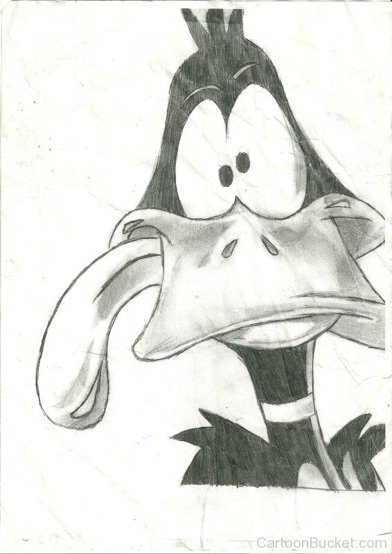 Daffy Duck Funny Sketch