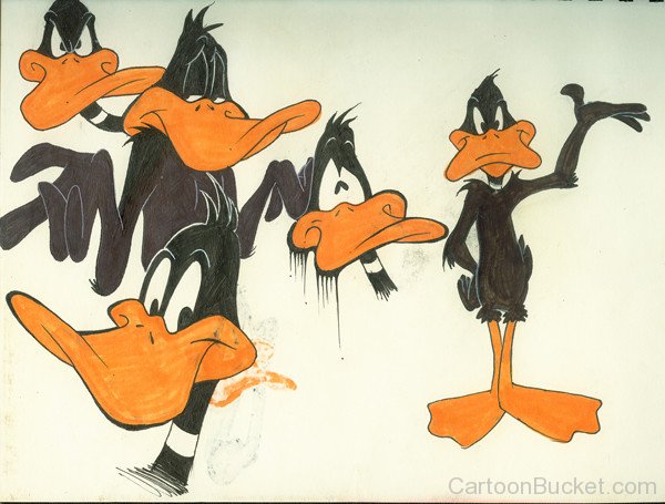 Daffy Duck In Various Style Sketch