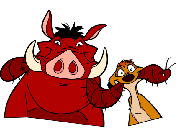 Funny Faces Of Timon And Pumbaa