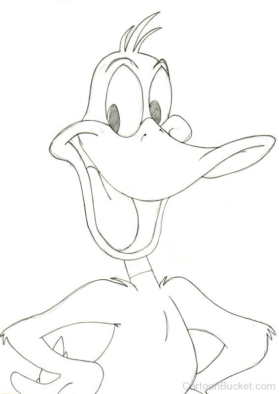 Happy Daffy Duck Sketch