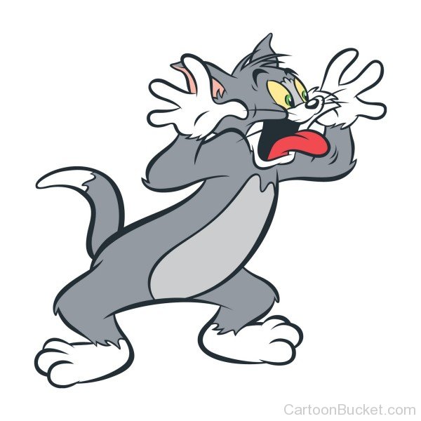 Shocking Picture Of Tom And Jerry