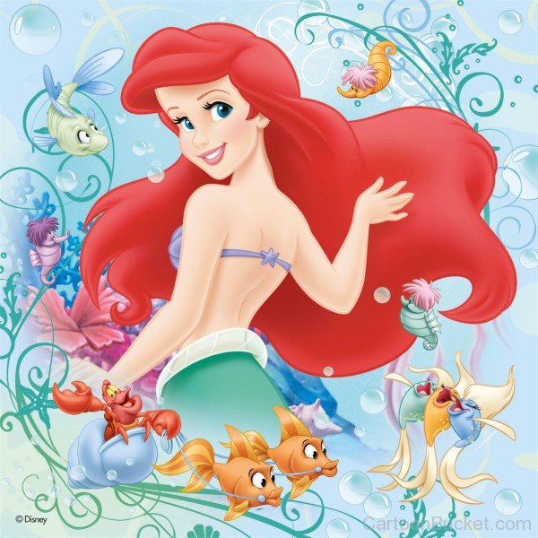 Ariel Image