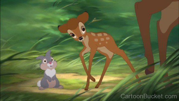 Bambi And Thumper Looking Scared