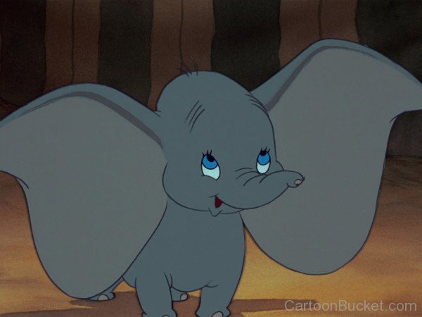 Big Eared Dumbo