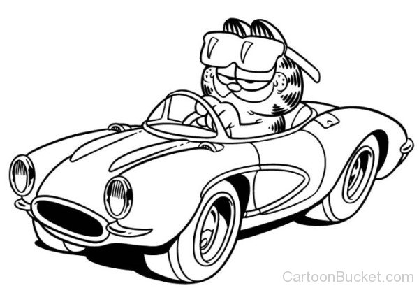 Garfield Driving Car