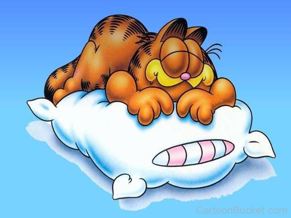 Garfield Sleeping Picture