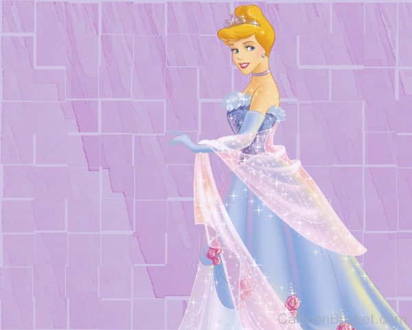 Gorgeous Princess Cinderella