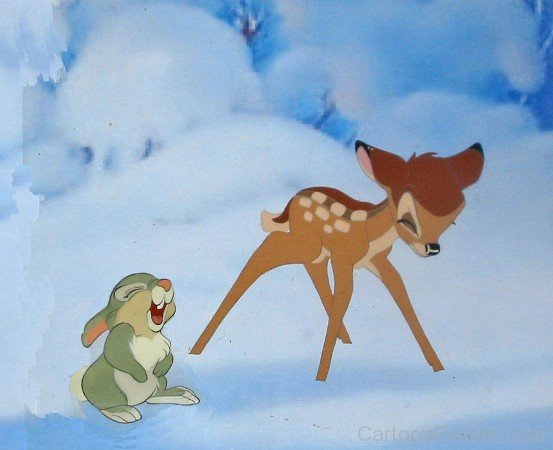 Photo Of Bambi And Thumper