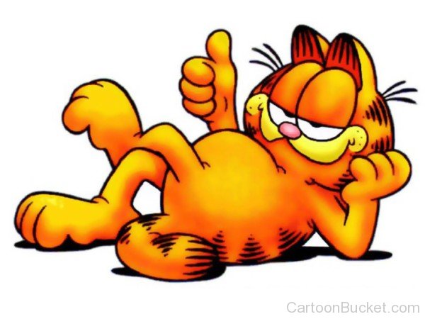 Photo Of Garfield