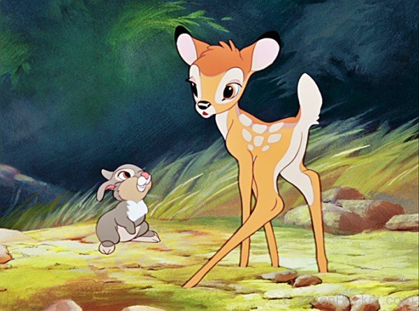 Picture Of Bambi And Thumper