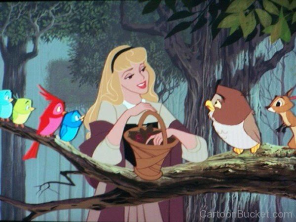 Princess Aurora Tallking With Birds