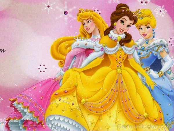 Princess Aurora,Cinderella And Belle