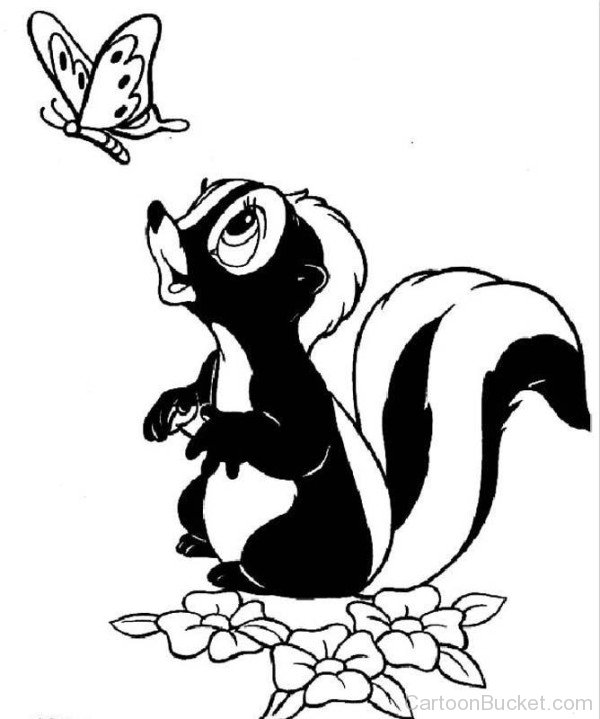 Sketch Of Flower The Skunk
