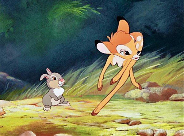 Thumper Looking At Bambi