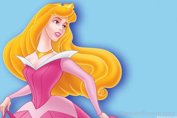 Wonderful Princess Aurora