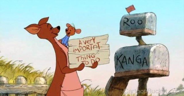 A Very Important Thing To do Kanga Roo