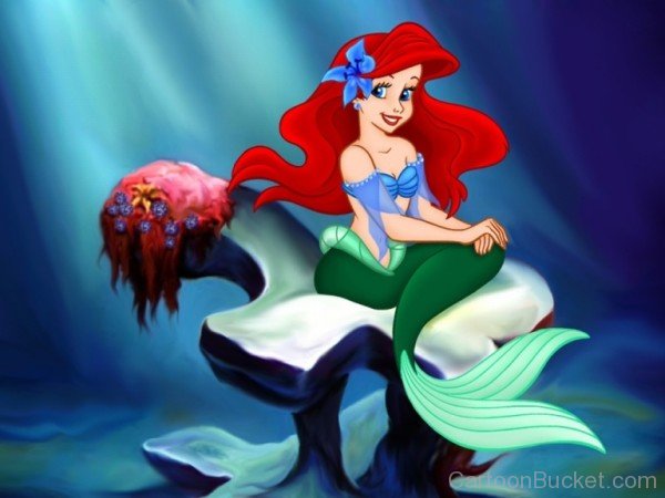 Ariel Picture
