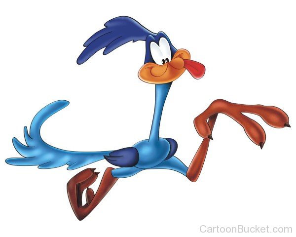 Picture Of Road Runner