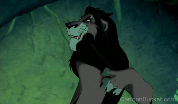 Picture Of Scar