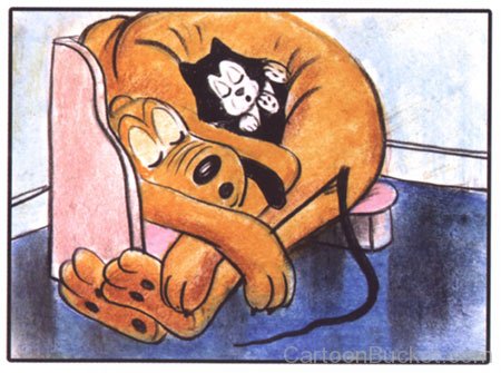Pluto Sleeping With Figaro