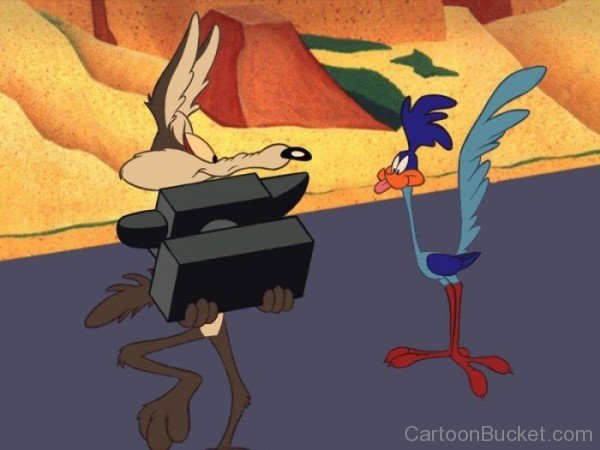 Road Runner And Wile E.Coyote Photo