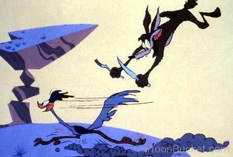 Road Runner And Wile E.Coyote Picture