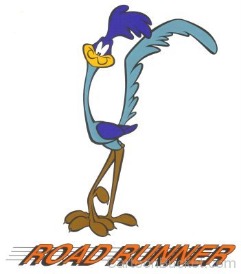 Road Runner Picture