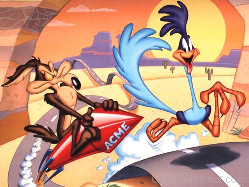 Wile E.Coyote Chasing Road Runner