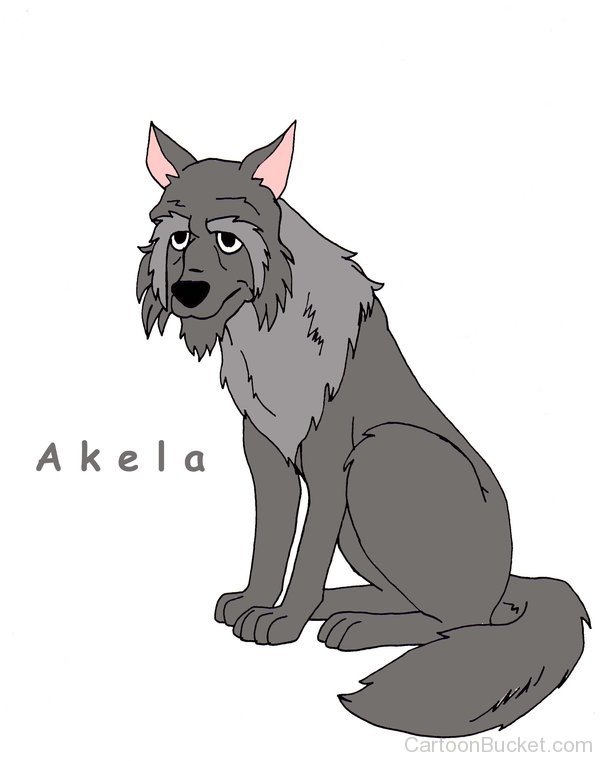 Aged Akela