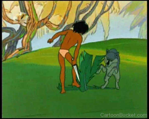 Akela And Mowgli