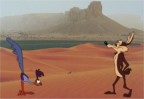 Image Of Wile.E Coyote And Road Runner