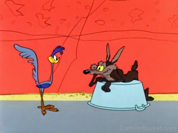 Road Runner Standing In Front Of Wile.E Coyote