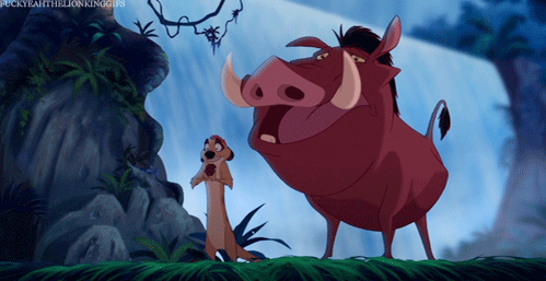 Timon And Pumbaa Animated Picture