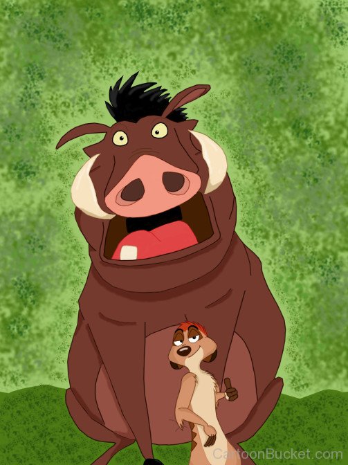 Timon With Scared Pumbaa
