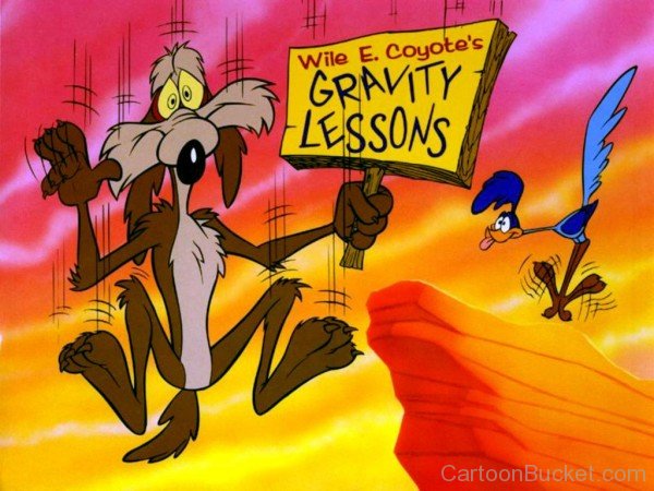 Wile.E Coyote Falling From Cliff