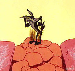 Wile.E Coyote Jumping On Big Rocks