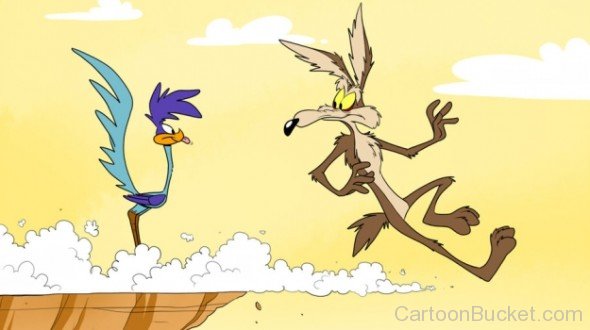 Wile.E Coyote Looking At Road Runner